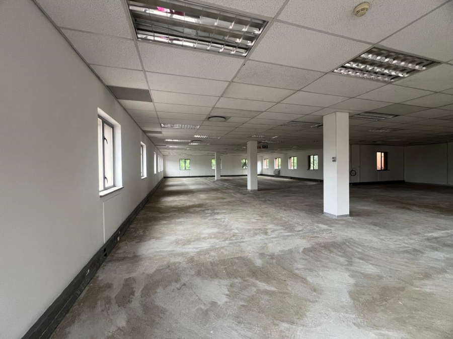 To Let commercial Property for Rent in Illovo Gauteng