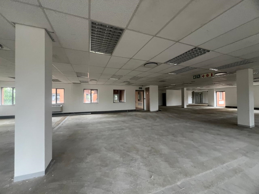 To Let commercial Property for Rent in Illovo Gauteng