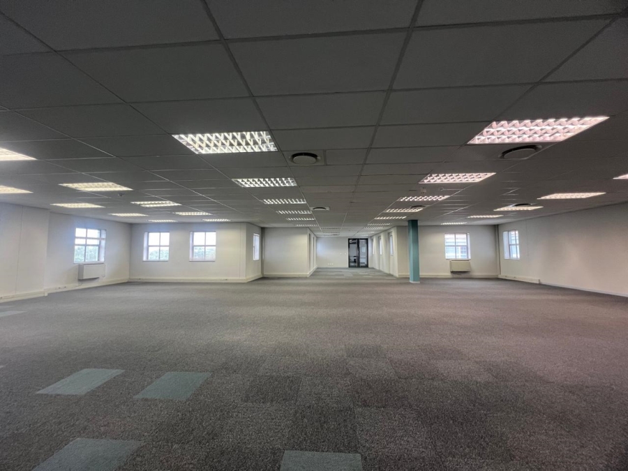 To Let commercial Property for Rent in Illovo Gauteng