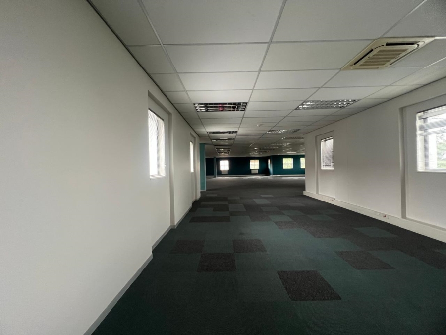 To Let commercial Property for Rent in Illovo Gauteng