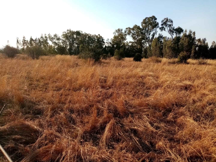 0 Bedroom Property for Sale in Riversdale Gauteng