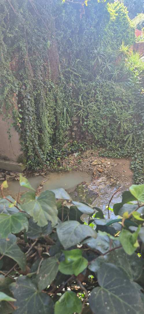 3 Bedroom Property for Sale in South Crest Gauteng