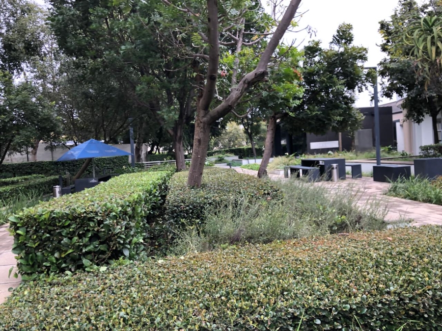 To Let commercial Property for Rent in Sandhurst Gauteng