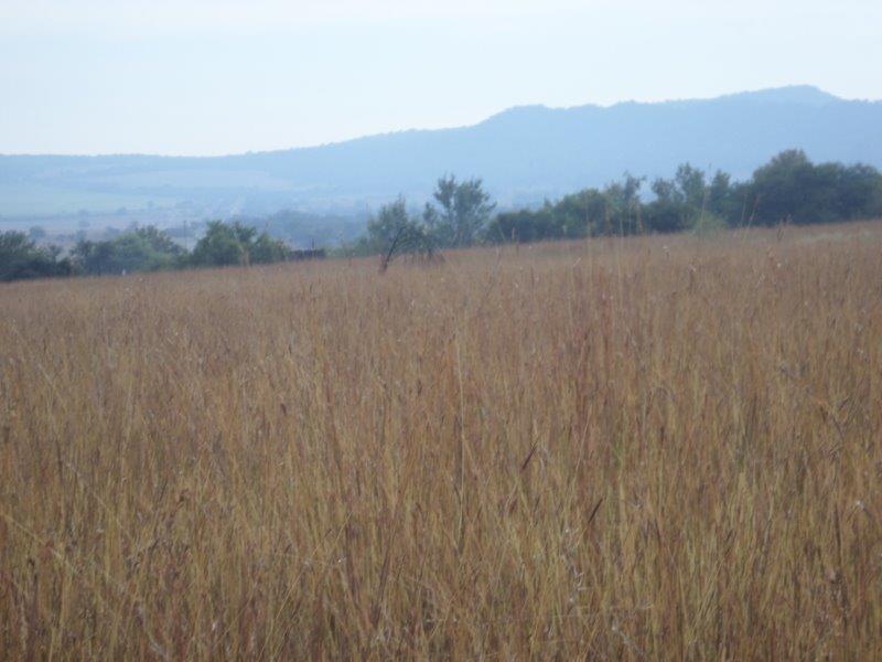 0 Bedroom Property for Sale in Vaaloewer Gauteng