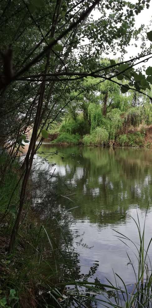 Commercial Property for Sale in Bronkhorstspruit Gauteng