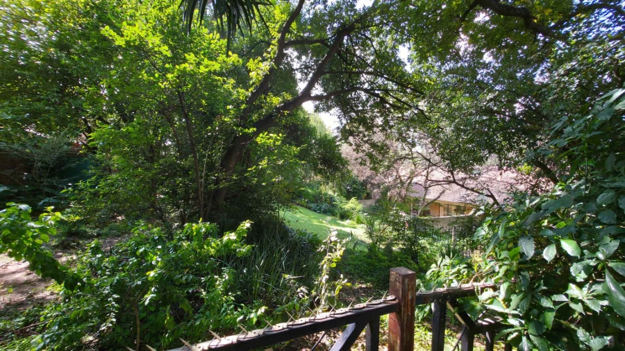 To Let 4 Bedroom Property for Rent in Sandown Gauteng