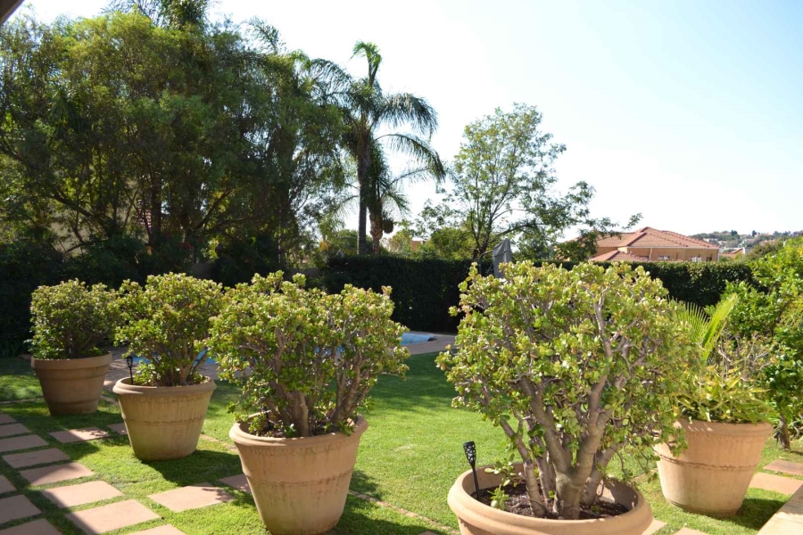 To Let 5 Bedroom Property for Rent in Woodhill Estate Gauteng