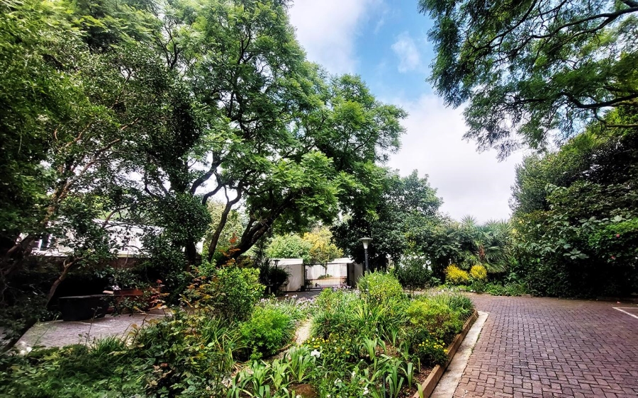 To Let 2 Bedroom Property for Rent in Illovo Gauteng