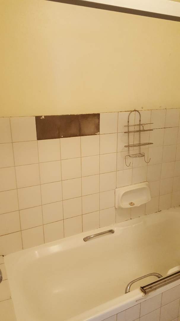 To Let 1 Bedroom Property for Rent in Hatfield Gauteng