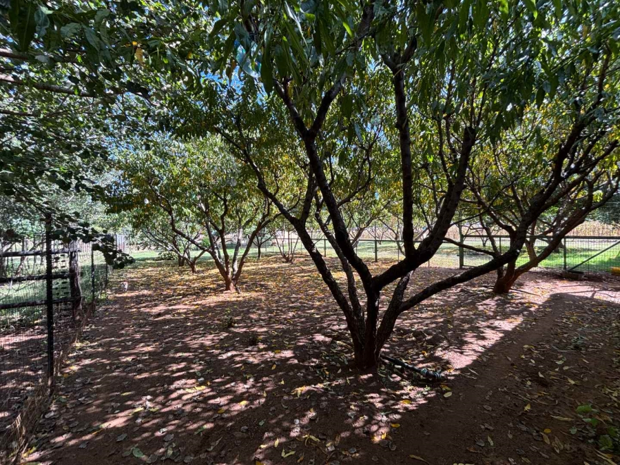7 Bedroom Property for Sale in Schoongezicht Gauteng