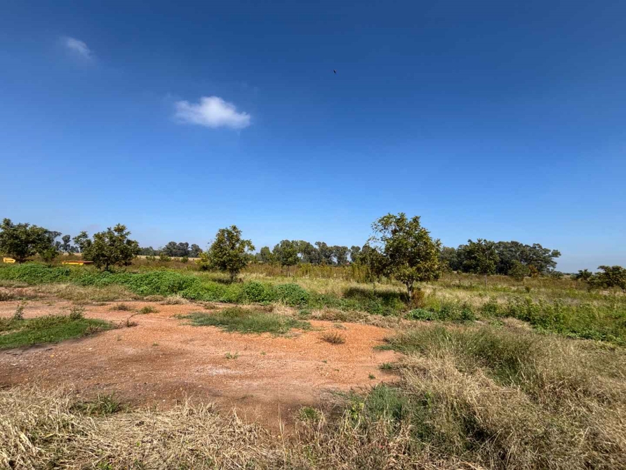 7 Bedroom Property for Sale in Schoongezicht Gauteng