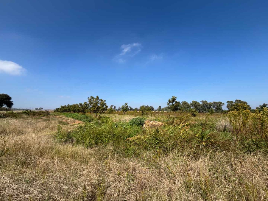 7 Bedroom Property for Sale in Schoongezicht Gauteng