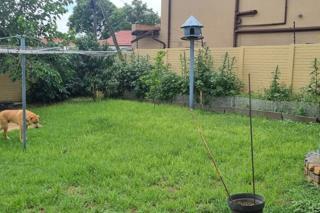 4 Bedroom Property for Sale in Ridgeway Gauteng