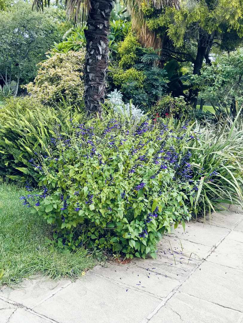 5 Bedroom Property for Sale in Mnandi Gauteng
