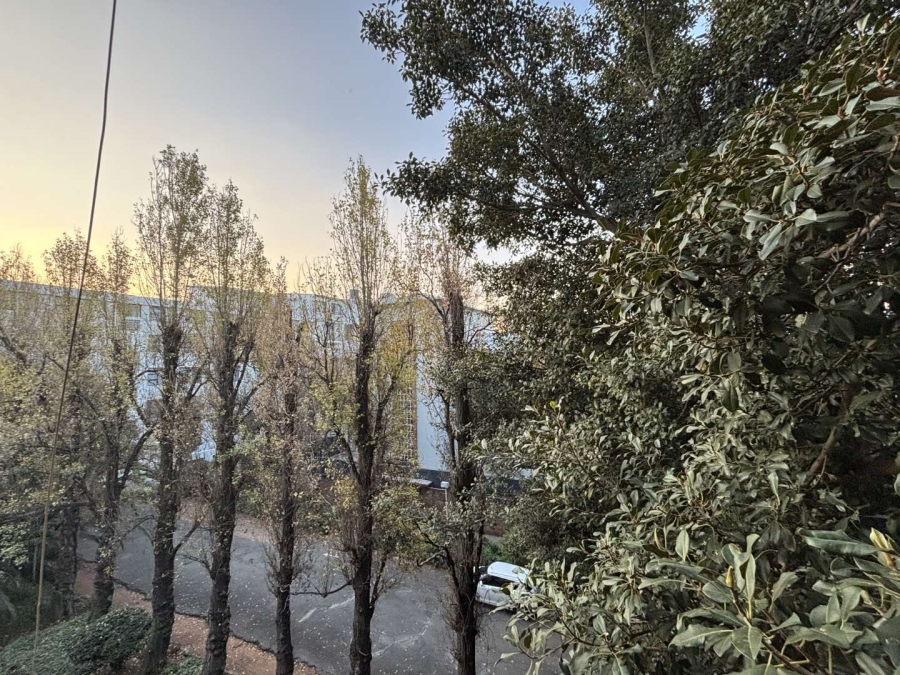 To Let 2 Bedroom Property for Rent in Illovo Gauteng