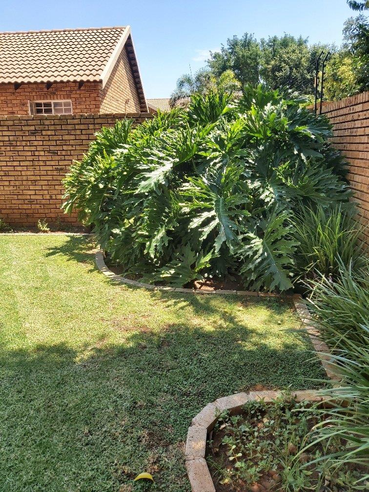 To Let 3 Bedroom Property for Rent in Montana Park Gauteng