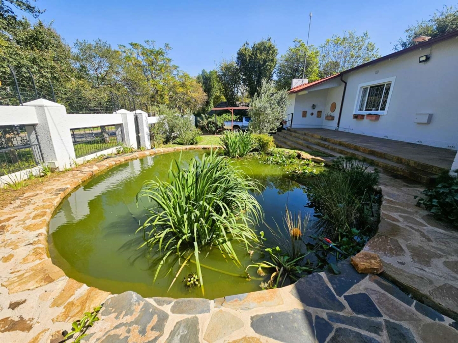 To Let 0 Bedroom Property for Rent in Rietondale Gauteng