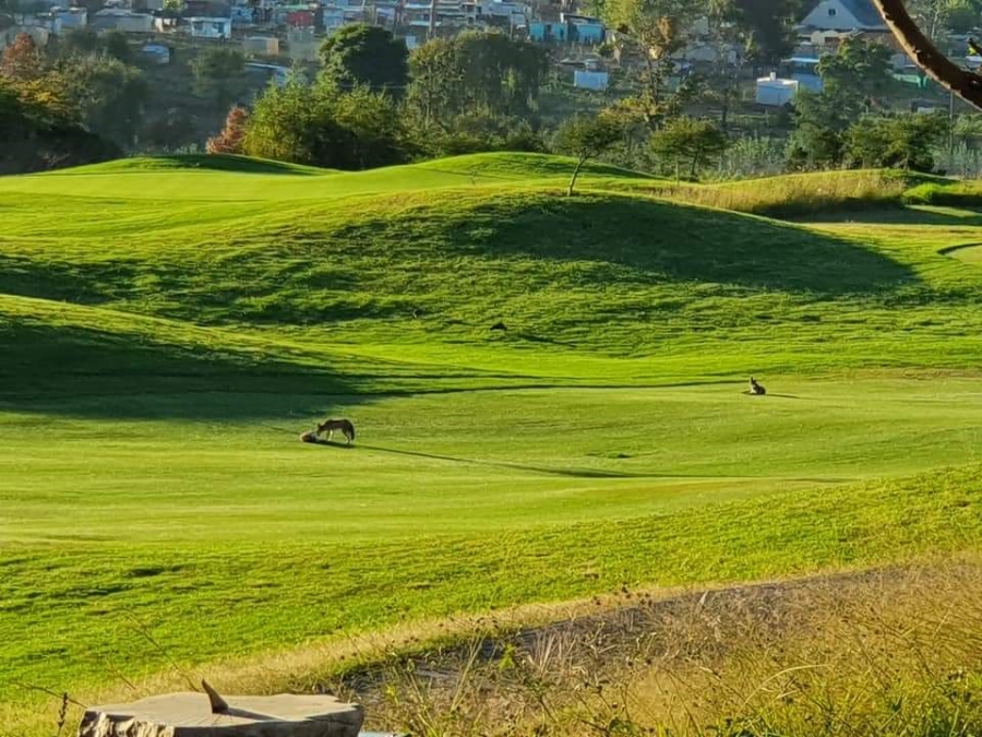 To Let 2 Bedroom Property for Rent in Jackal Creek Golf Estate Gauteng