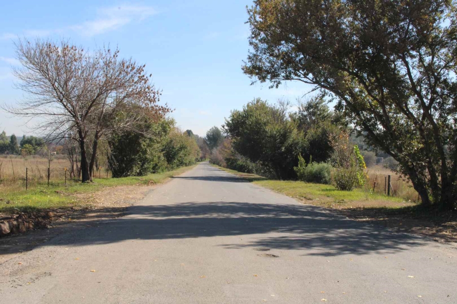 5 Bedroom Property for Sale in Blue Saddle Ranches Gauteng