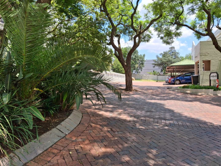 To Let 3 Bedroom Property for Rent in Morningside Gauteng