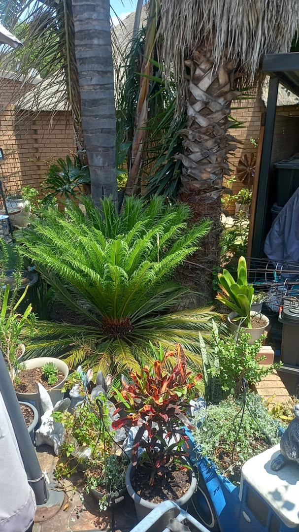7 Bedroom Property for Sale in The Reeds Gauteng