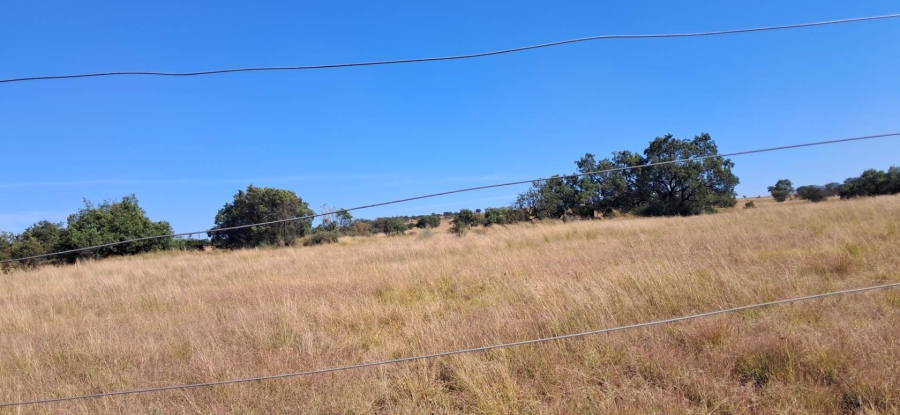 Commercial Property for Sale in Vlakplaats Gauteng