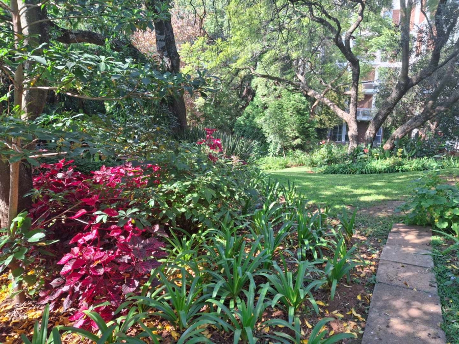 To Let 2 Bedroom Property for Rent in Illovo Gauteng