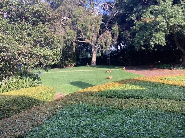 5 Bedroom Property for Sale in Waterkloof Ridge Gauteng