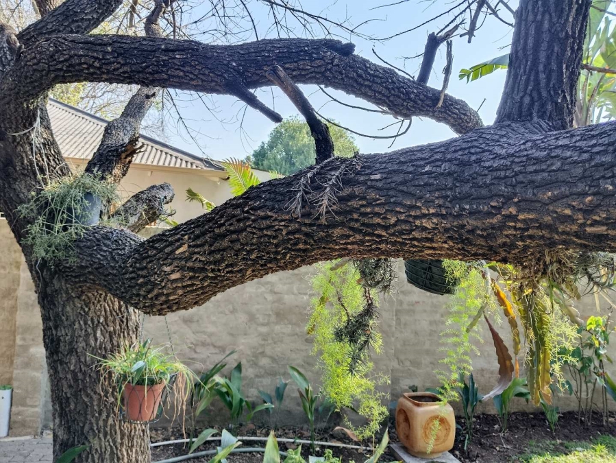 4 Bedroom Property for Sale in Rietondale Gauteng