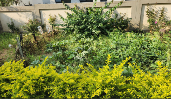 4 Bedroom Property for Sale in Derdepoort Gauteng