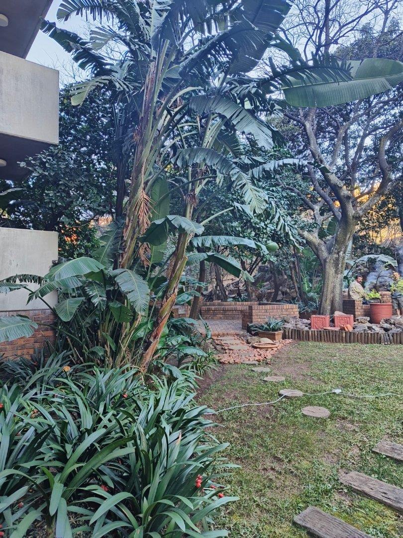 3 Bedroom Property for Sale in Murrayfield Gauteng