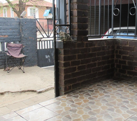 3 Bedroom Property for Sale in Glenesk Gauteng