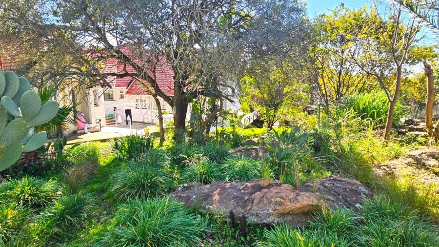 To Let 4 Bedroom Property for Rent in Bryanston Gauteng