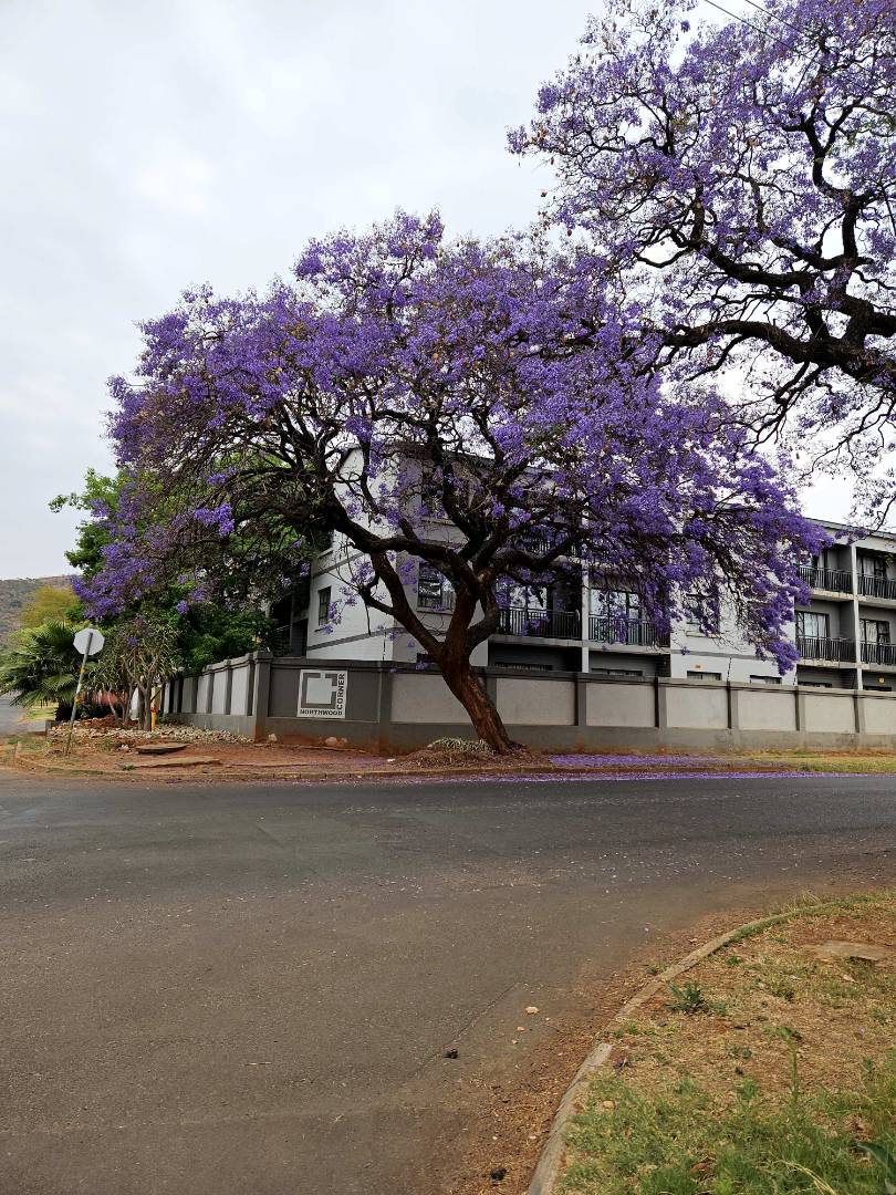 2 Bedroom Property for Sale in Pretoria North Gauteng