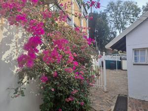 To Let 1 Bedroom Property for Rent in Illovo Gauteng