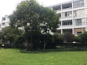 To Let 1 Bedroom Property for Rent in Illovo Gauteng