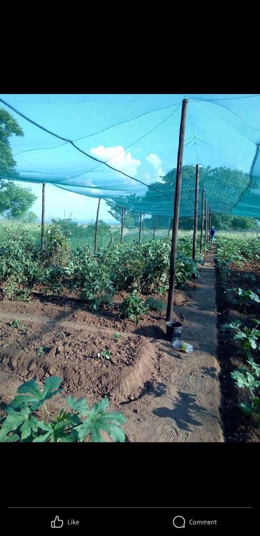 0 Bedroom Property for Sale in Honingnestkrans Gauteng