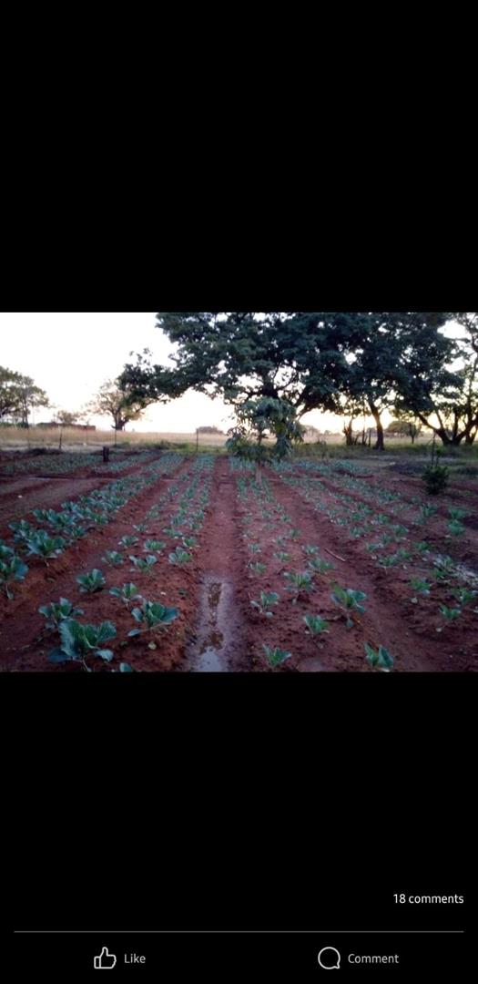 0 Bedroom Property for Sale in Honingnestkrans Gauteng