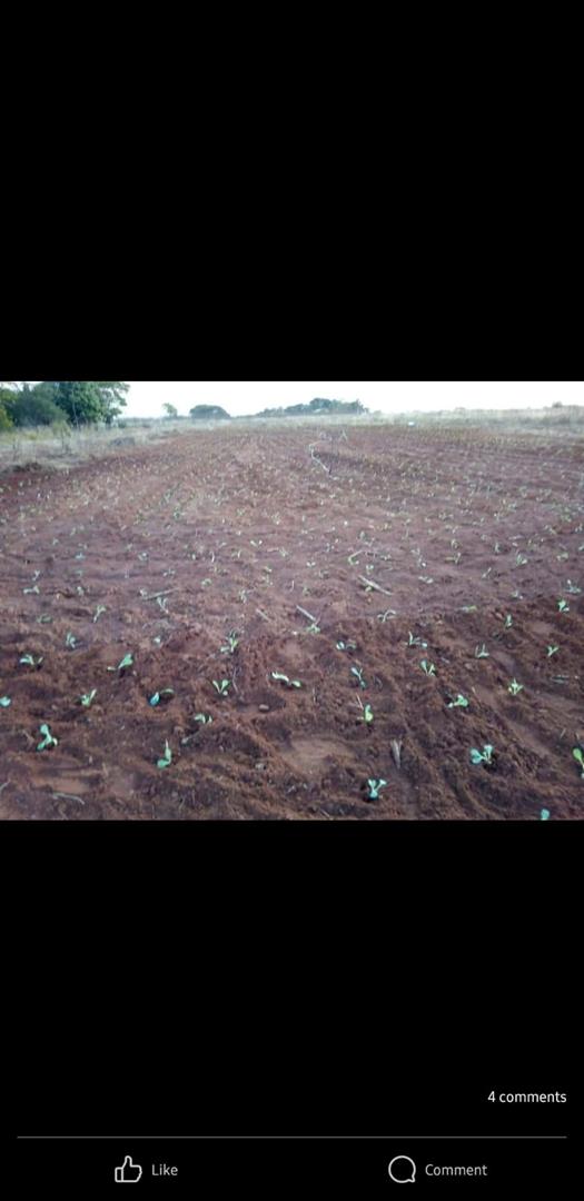 0 Bedroom Property for Sale in Honingnestkrans Gauteng