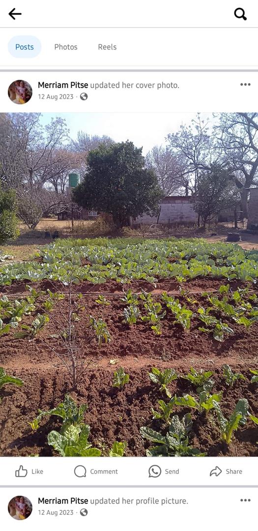 0 Bedroom Property for Sale in Honingnestkrans Gauteng