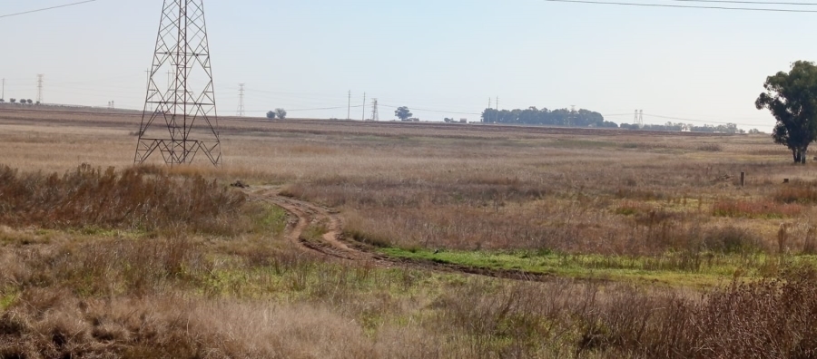 0 Bedroom Property for Sale in Nigel Gauteng
