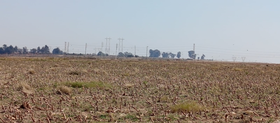 0 Bedroom Property for Sale in Nigel Gauteng