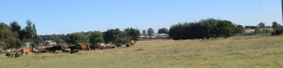 3 Bedroom Property for Sale in Putfontein Gauteng
