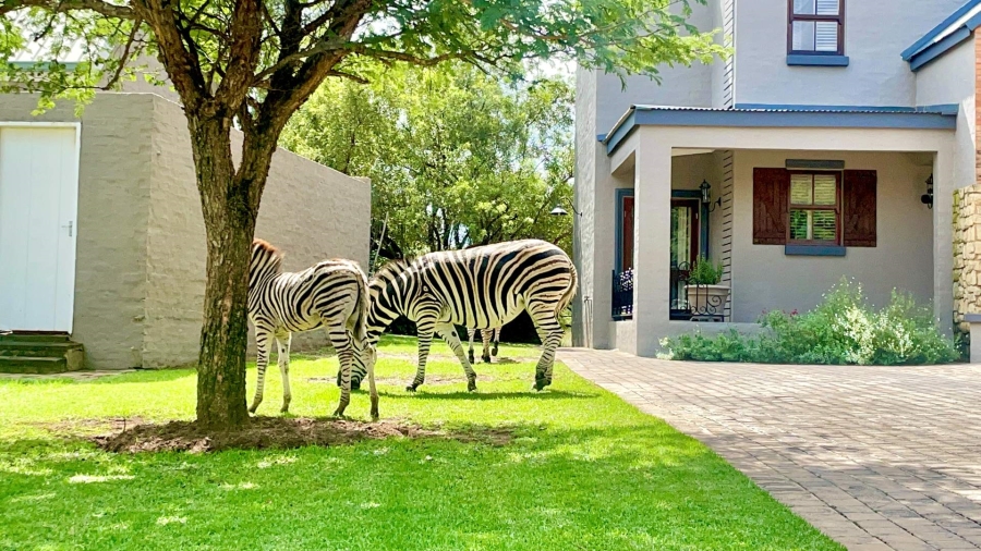 To Let 3 Bedroom Property for Rent in Waterlake Farm Lifestyle Estate Gauteng