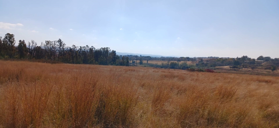 Commercial Property for Sale in Rietfontein AH Gauteng