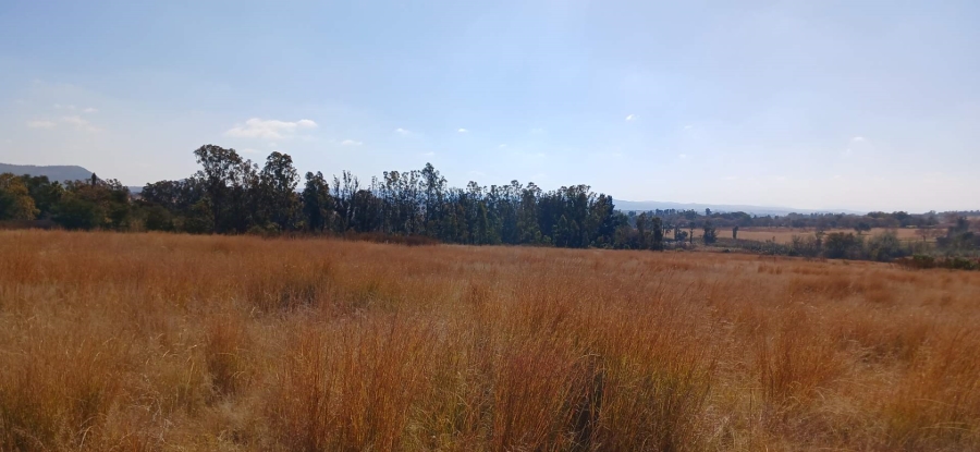 Commercial Property for Sale in Rietfontein AH Gauteng