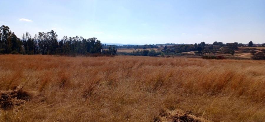 Commercial Property for Sale in Rietfontein AH Gauteng