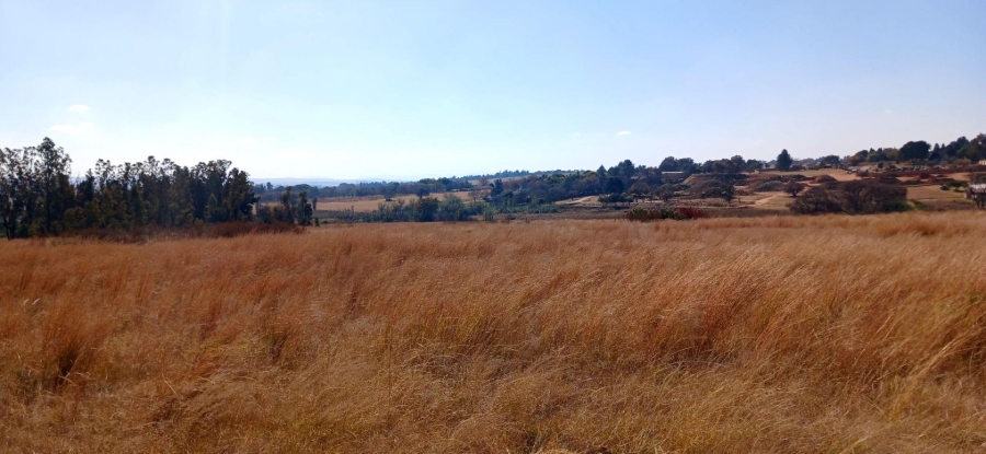 Commercial Property for Sale in Rietfontein AH Gauteng