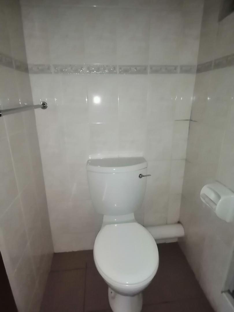 To Let 0 Bedroom Property for Rent in Hatfield Gauteng