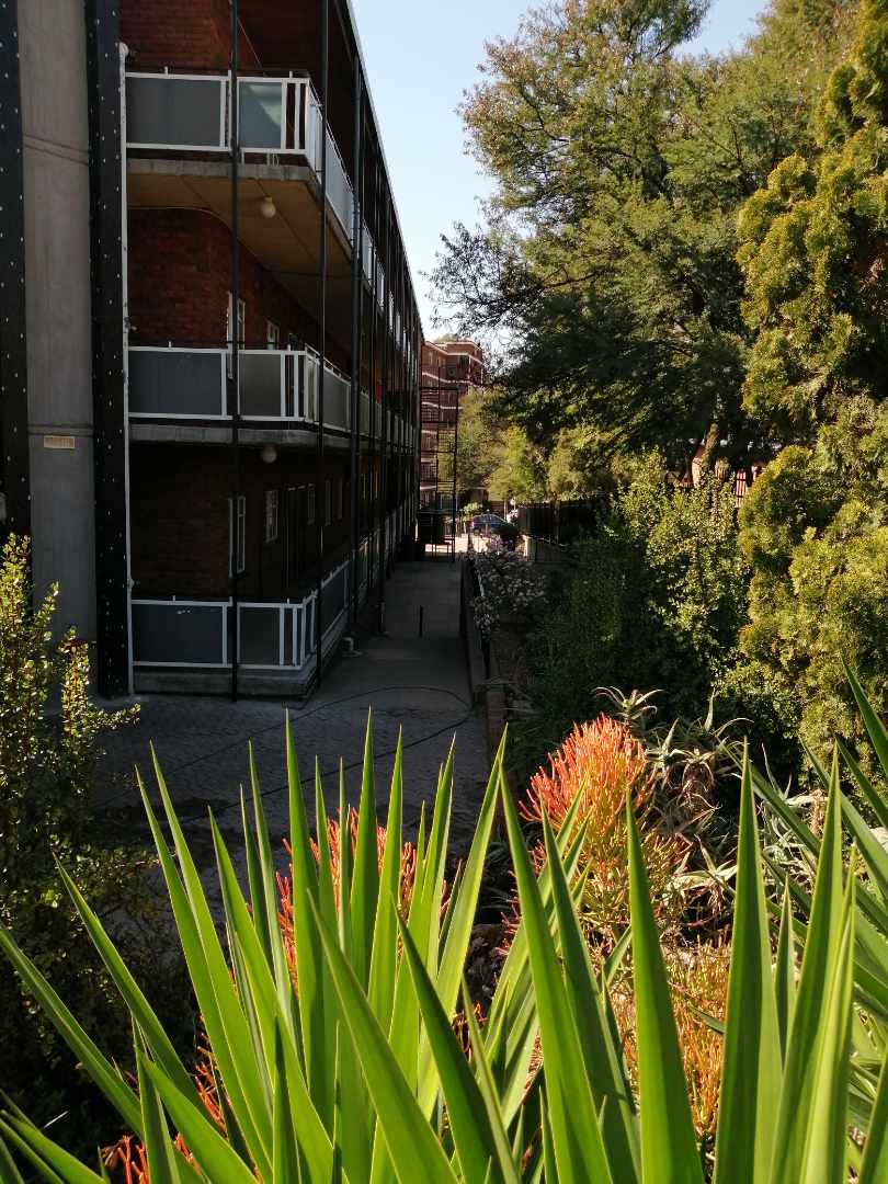 To Let 1 Bedroom Property for Rent in Groenkloof Gauteng